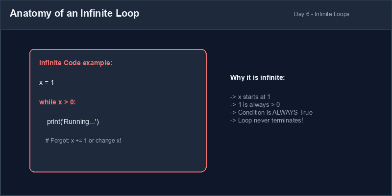Infinite Loop Anatomy